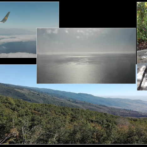 20180418_bea_s 18.04.2018 - Anflug auf La Palma, die grüne Hölle und unser Empfangskomittee